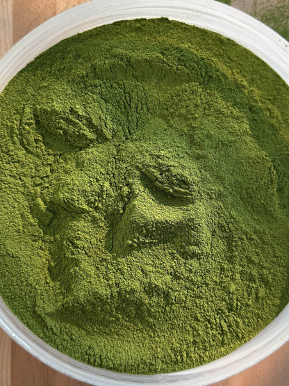 Organic Moringa Oleifera 60-Capsule Bag